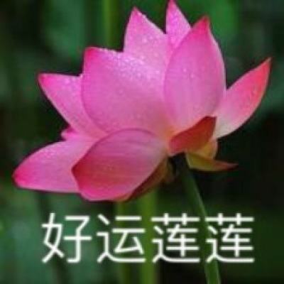 机动战姬百度游戏下载